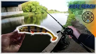 ЛМАБ Кофи Перч! (Безумная атака) 😲