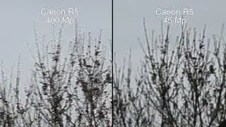 Canon R5 test 400mp vs 45mp