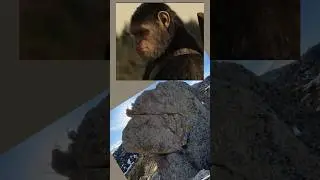 Giant Ape Head in the Ancient Ruins 🦍🗿🪨⚡️#ancientruins #trending #archeology