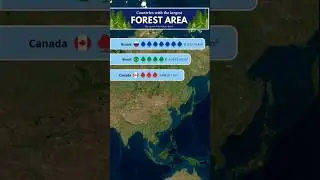 largest forest area by countries in the world #countries #geographythroughmaps #forest #shorts