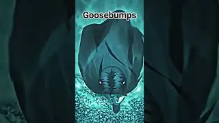 Goosebumps movement #animalsdoingthings #shorts#cartoon