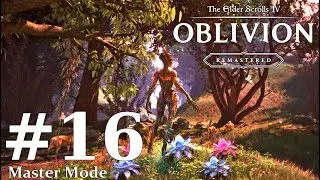 The Elder Scrolls IV: Oblivion Remastered Master Mode Episode 16: The Hunt For An Deadric Artifact!