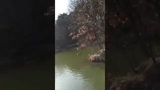 20190208 151001