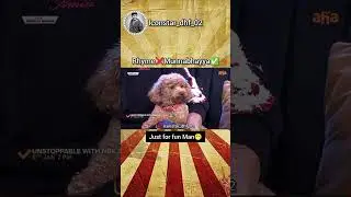 RAM CHARAN PET🐕 RHYYMEE 😍❤ #ramcharan #balakrishna #rhyme #upasana #love #unstoppable #trendingshort