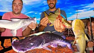 PESCA con la mejor CARNADA PARA EL SURUBI ? Com&eacute;nta con que los sacas vos. #pesca #loros #fyp #fish