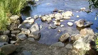 Sutter's Mill site in Coloma, California gold rush