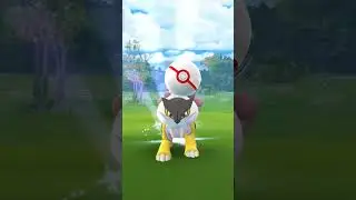 catching two legendary pokemon suicune ro raikou in pokemon go raid