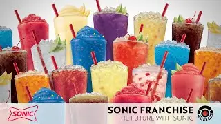 Sonic Franchise: Invest In Your Future