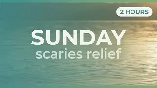 Sunday Scaries Relief | 2 Hours Calm Music for the Anxious Mind
