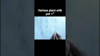Verious plant with pot 🌱#verious #plants #plant #pot #plantswithpot #dua #duaart #duaartcluster