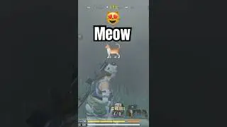 CODM Victory + (Real Cat) Meows 😸😹｜我家貓咪的叫聲❗️