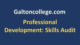 Professional Development: Designing a Skills Audit