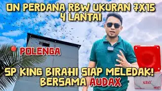 POLENGA KEMBALI MELEDAK‼️BERSAMA AUDAX DAN SP KING BIRAHI.Simak tata ruang yg benar rbw 7x15 4lantai