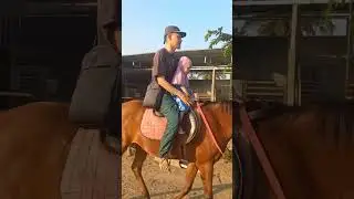jogja berkurang #shorts