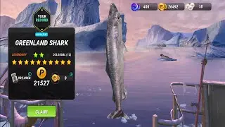 I Caught A 939 Kg Greenland Shark! Fishing Clash Gameplay Ep262