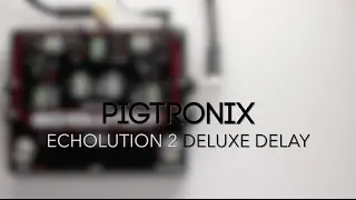 Pigtronix Echolution 2 Deluxe Delay Guitar Effects Pedal Demo