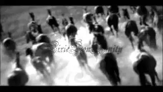 MagicHorses