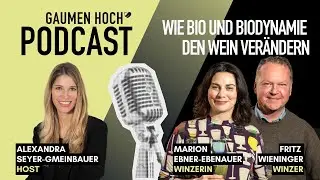 Zwischen Rebstock und Respekt: Wie Bio und Biodynamie Wein ver&auml;ndern