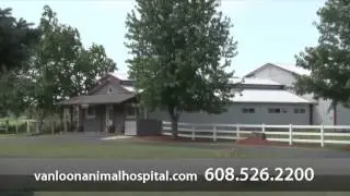 Van Loon Animal Hospital - Short | Holmen, WI