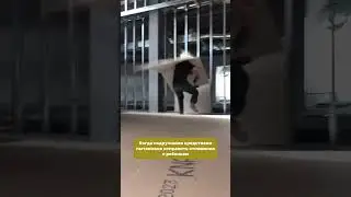 С АВА поведение ребенка меняется мягко и постепенно #аба #пап #юмор #мем #детскаяпсихология #москва