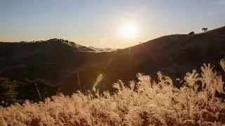 2023 WSJKorea candidate DrawYourDream Promotional video