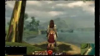 Guild Wars 2 BWE2 Heavy Armor set - Human Female