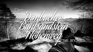 Der Dimbacher Buntsandstein H&ouml;henweg mal anders | Wandern in der Pfalz