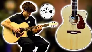 Seagull Perfomer CW Mini Jumbo DEMO | Muziekhuis Souman