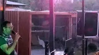 Рождество   КАРАНДАШИ VID 20170817 201335
