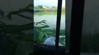 Capturing Beautiful Nature Moments