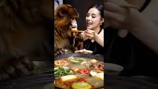I love you monkey.  #monkeylover #monkeylover #monkeyvideo