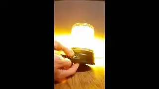 Movia SL LED Gelb Umbau