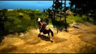FoE Black Desert Online Wizard Mounted Horse Combat