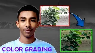Before & After Color Grading Transformation