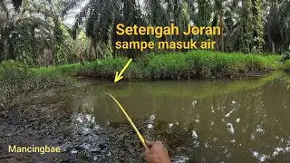 Sungai Mulai Surut!! Ikan ngumpul disini