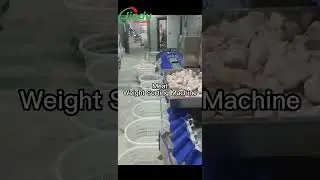 frozen meat weight sorting machine grading  #weighing #machine #meat #food #equipment #machinery