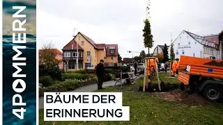 Eichen f&uuml;r die Familie Runge in Wolgast gepflanzt | Usedom TV