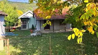 Motra e gruas shkoj ne Fshat