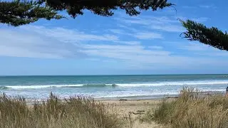 Ōrore / All Day Bay : a beach,  a seal,  surfers and freedom camping