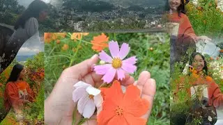Nongstoin view point o banga Aski pul🥰