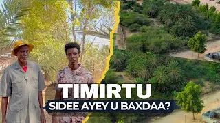 Timirtu sidee ayey u baxdaa?