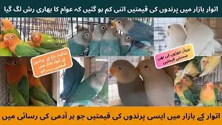 Latest Birds Price Update | Sunday Birds Market Price 31-Dec-2023 | @bkpetslover