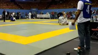 Alex Absolute