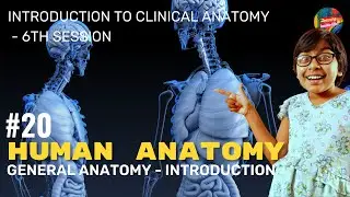 Ep20 - Intro to Clinical Anatomy, Paraplegia, Tumour, Coma, Analgesia, Hyperathesia, Anaesthesia