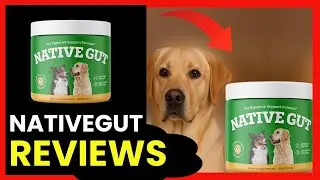Native Gut Review &ndash; Does It Really Help Dog Digestion?