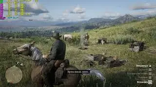 Ryzen 5 1600 / GTX 1070 / 16 GB DDR4 3200 MHz / Red Dead Redemption 2