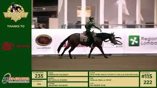 Futurity 2025 - ANNALISA SOLBIATI & SM WALLA GUNNA score 217