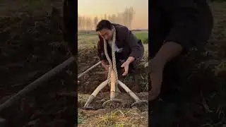 steps to jack up wood using simple homemade tools #shortvideo #shorts
