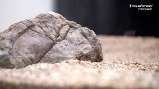 How to set up Freshwater Aquarium using Aquaforest products