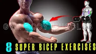 8 Super Exercises for Big Biceps Muscle - Gym Body Muscles
